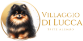 cropped Lulu da Pomerania Villaggio di Lucca.png